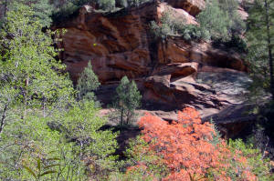 West Fork Trail View of Cliff