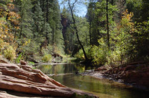 West Fork Trail