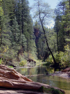 West Fork Trail - Stream