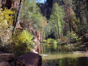 West Fork Trail View Downsteam