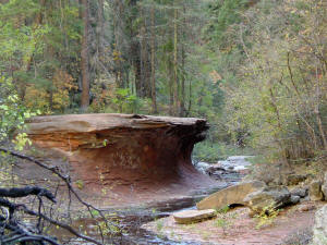 West Fork Trail and Rock Overhang