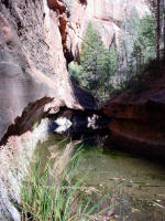 West Fork Trail - End