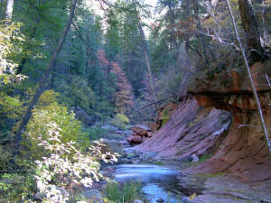 West Fork Trail Downstream View