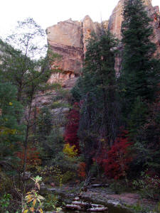 Fall Follage and Steep Cliffs