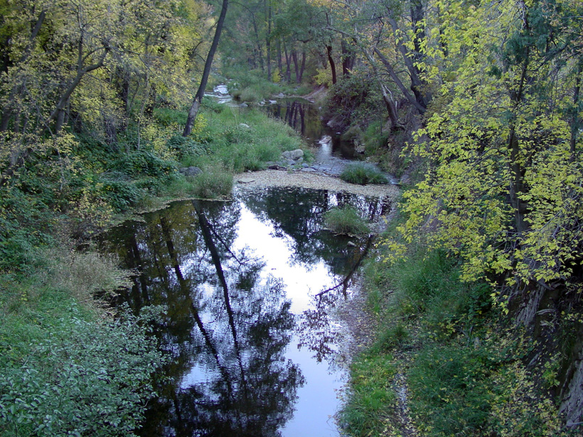 Oak Creek - Looking Upstream