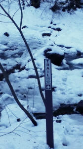 First Creek Crossing - West Fork Trail