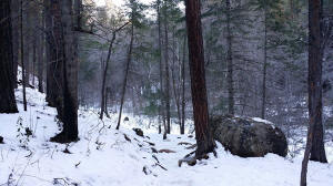 West Fork Trail - 2
