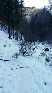 West Fork Trail continues to second stream crossing 2