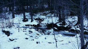 Second Stream Crossing