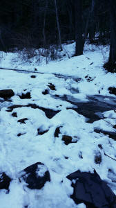 West Fork Trail continues to second stream crossing - Close Up