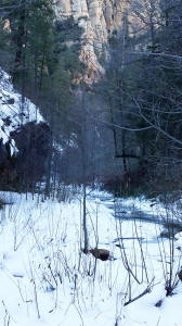 Look up west fork stream